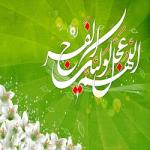 صدى المهدي صدى المهدي