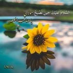 عاشقة ام الحسنين عاشقة ام الحسنين