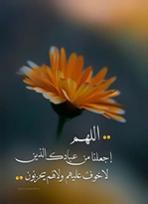 خادمة فضه خادمة فضه